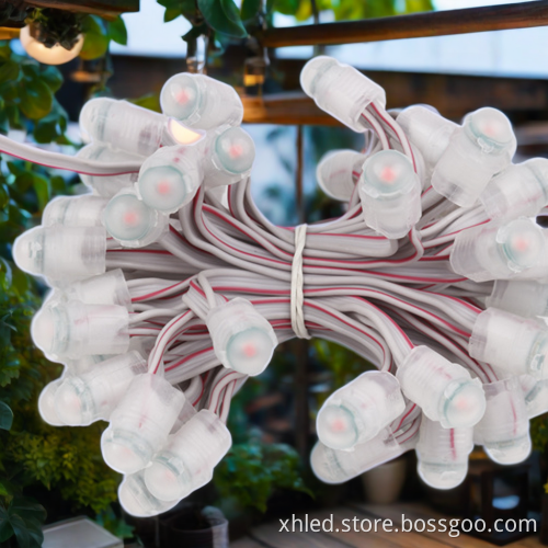 Miracle Bean Outdoor IP67 12V Warm White LED Pixel SMD5050 Decoration Lights